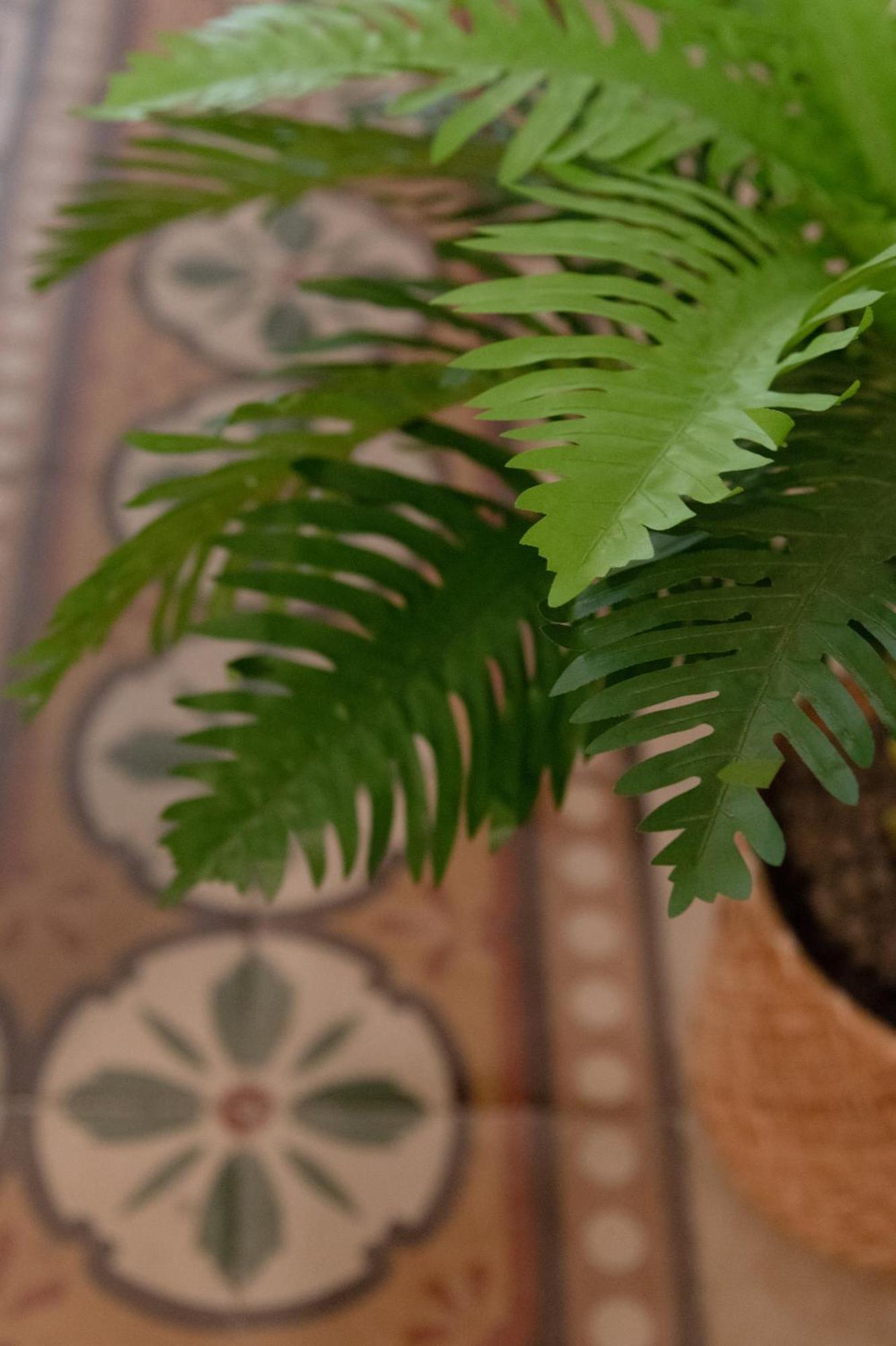 شقة Casalore باري المظهر الخارجي الصورة